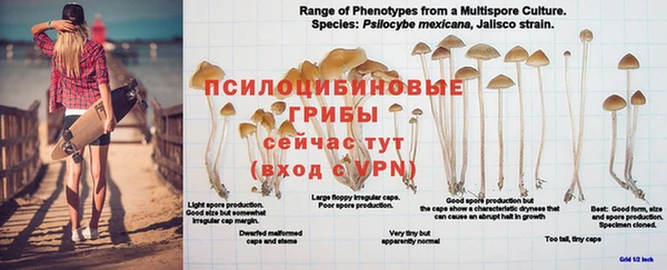 прущая мука Верхний Тагил